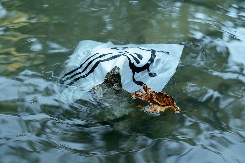 ליאורה לוי, גלריה אשכילה. צילום: תומר חרובי