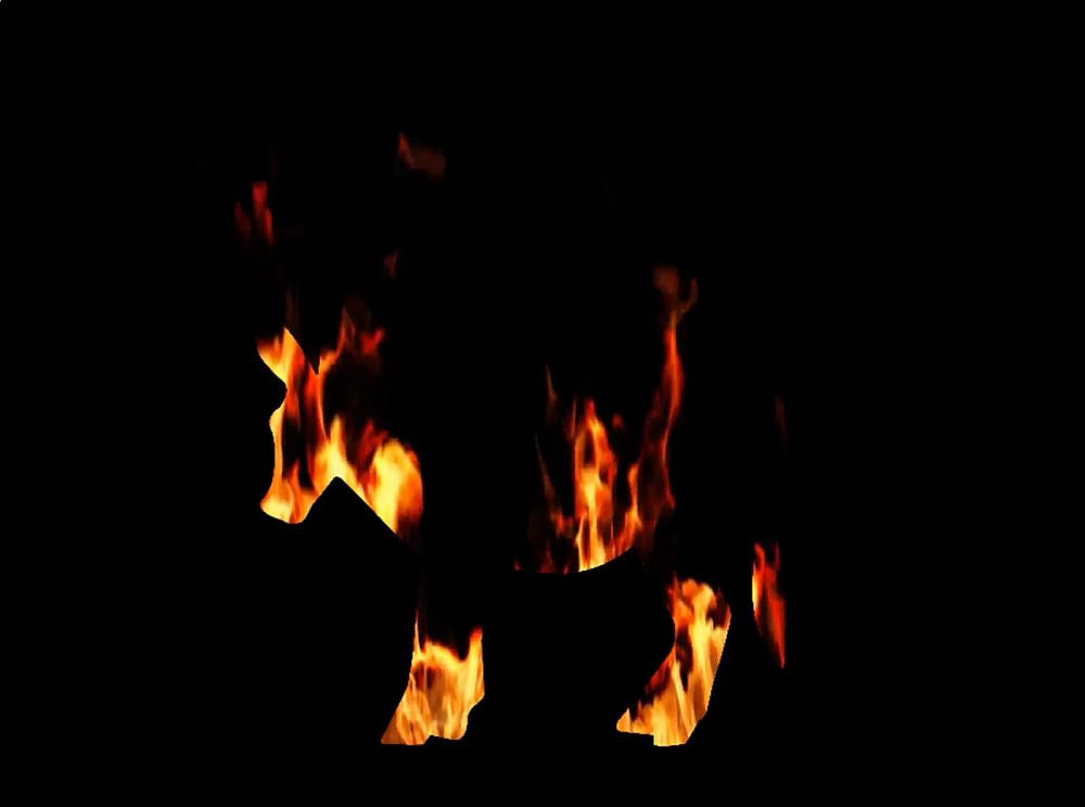 אשרף פואח'רי, גלריה כברי