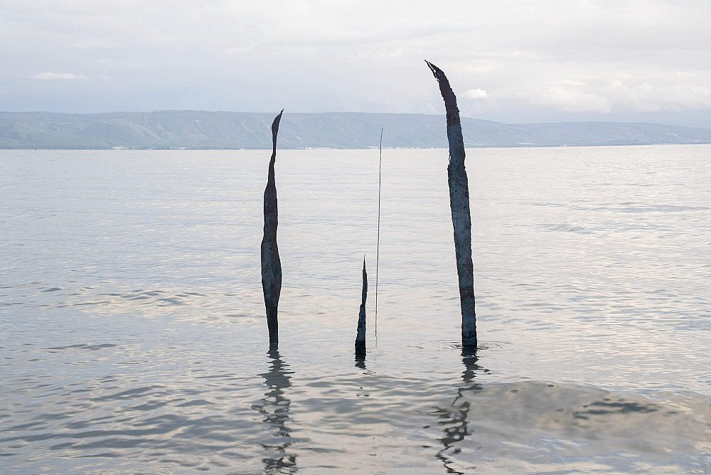 שחר נויהאוז, רוטשילד 69