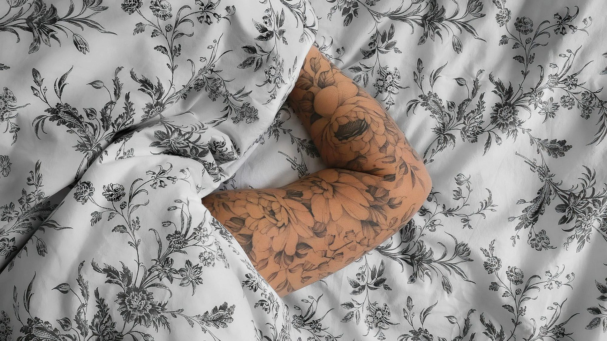 כרמית אטדגי דבורה, צבע טרי וטולמנ'ס ברוטשילד 69