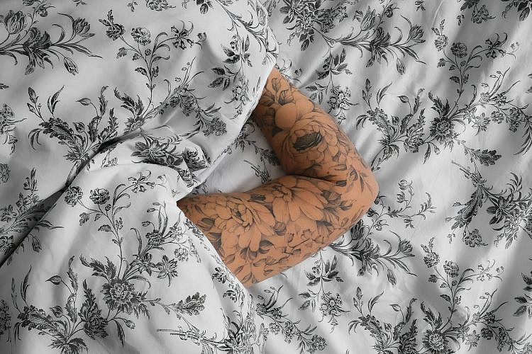 כרמית אטדגי דבורה, צבע טרי וטולמנ'ס ברוטשילד 69