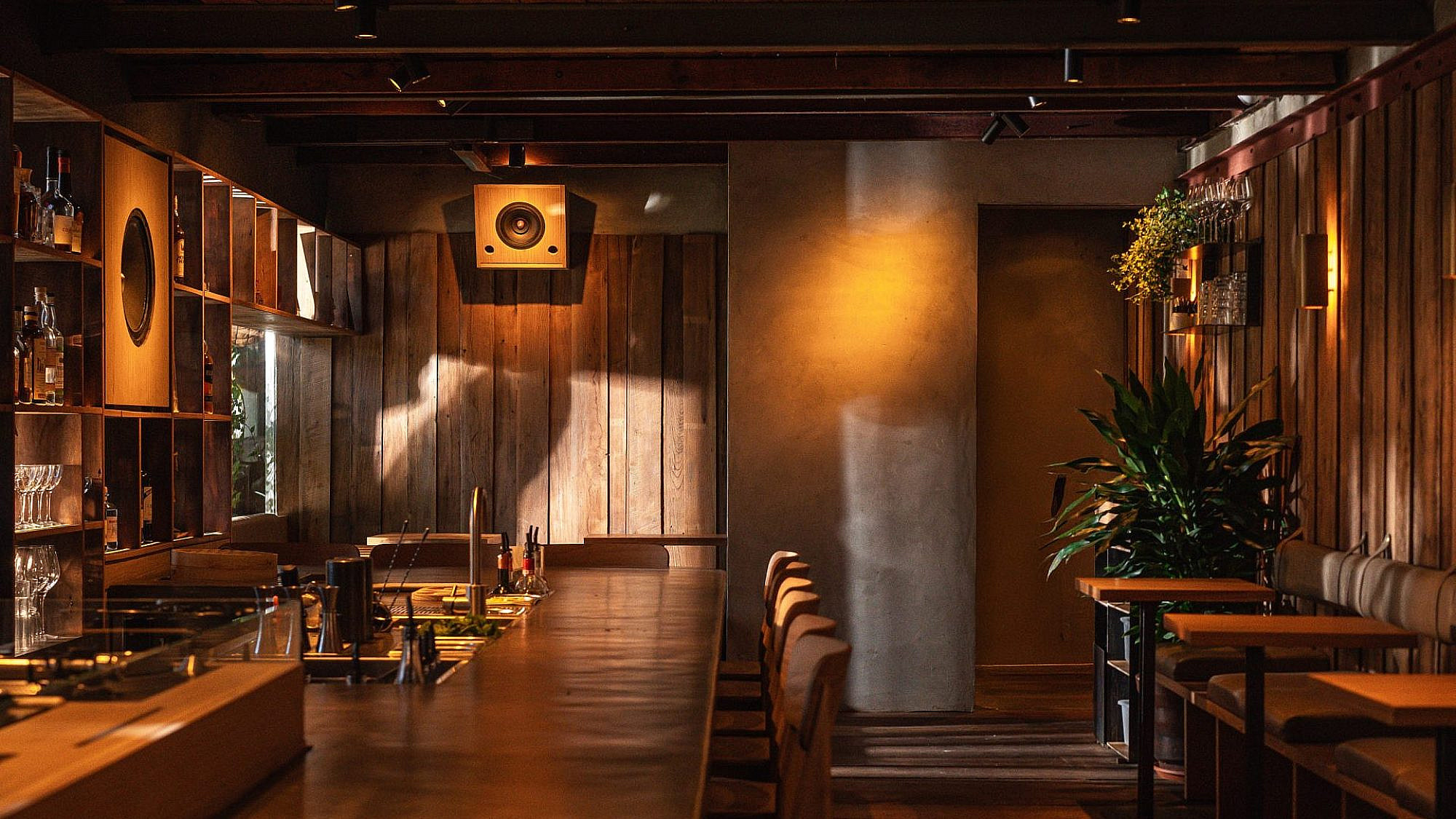 איזה וייב. נאיי (צילום אסף קרלה)