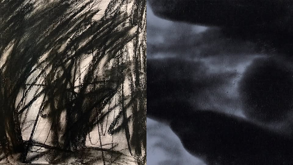 אלכס קרמר ואיליה קריינס, Wild Gallery