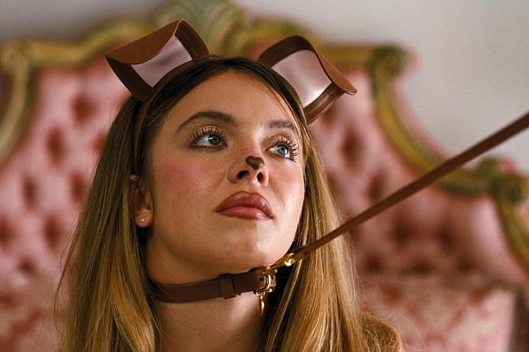 הו בידי בם בם. "אופוריה". צילום: יח"צ HBO