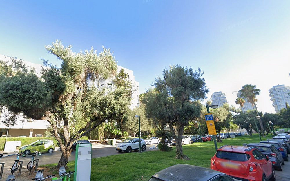 שששש, זאת שדרה סודית אומרים לכם (צילום מסך: גוגל סטריט ויו)