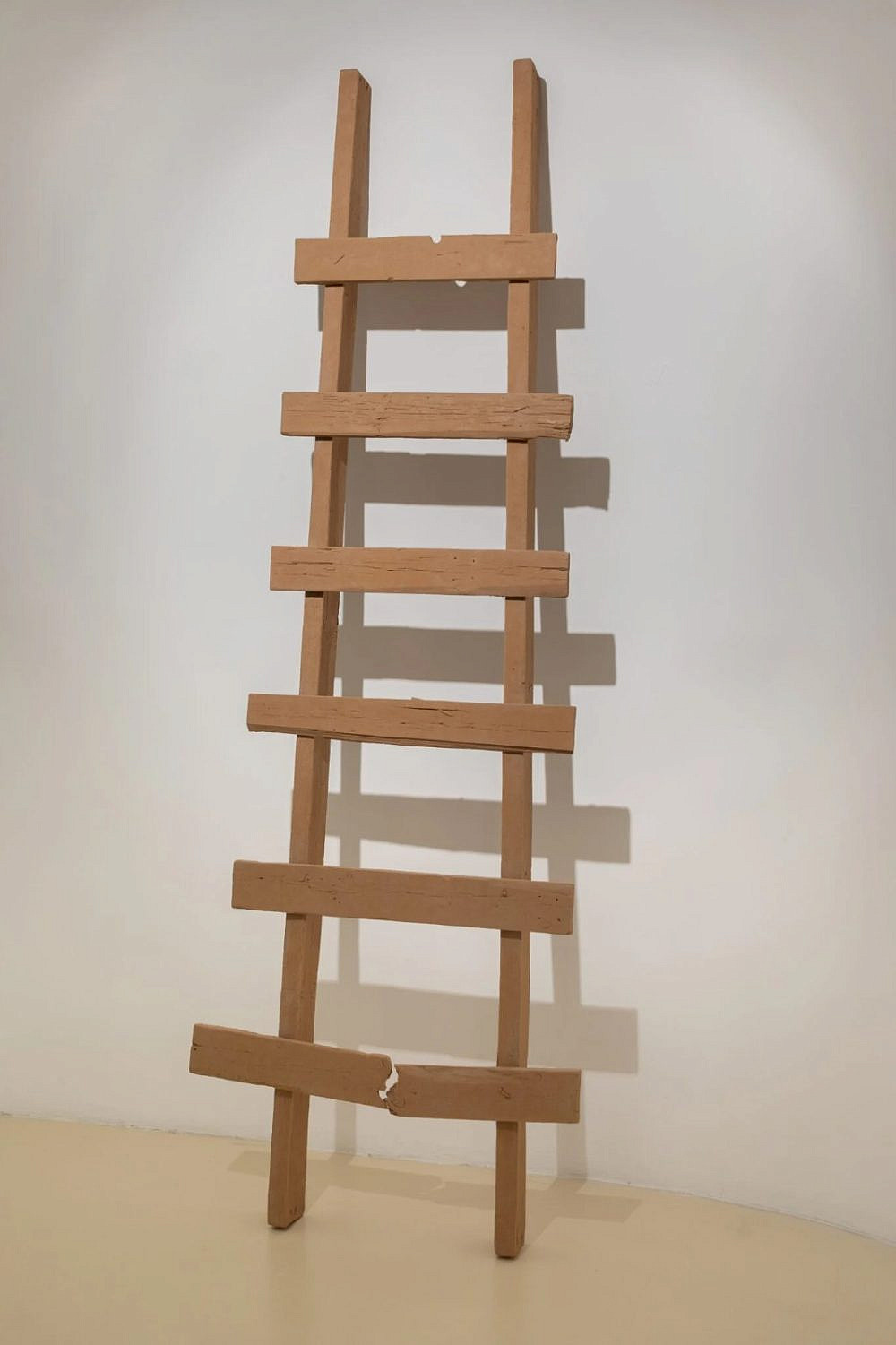 חיימי פניכל, הגלריה החדשה בטדי. צילום: טל ניסים