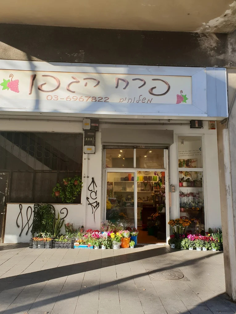 פרח הגפן (צילום: יח"צ)