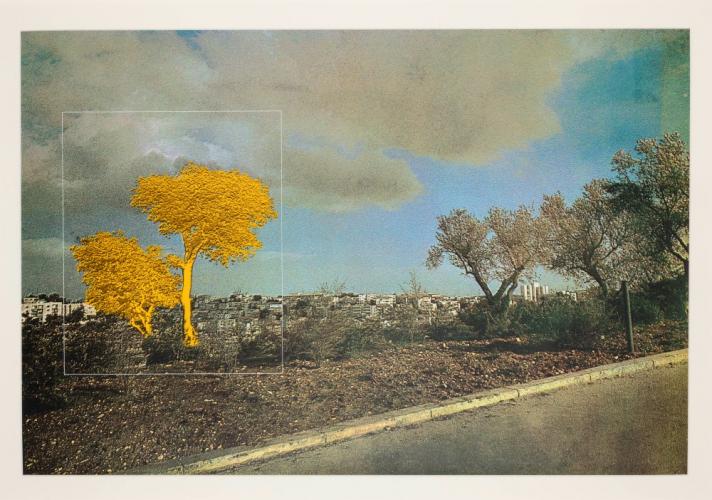 מנשה קדישמן, מוזיאון ישראל. צילום: אלי פוזנר