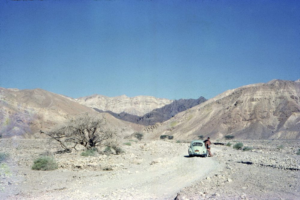 קרן זלץ, הגלריה העירונית כפר סבא קרן זלץ, הגלריה העירונית כפר סבא