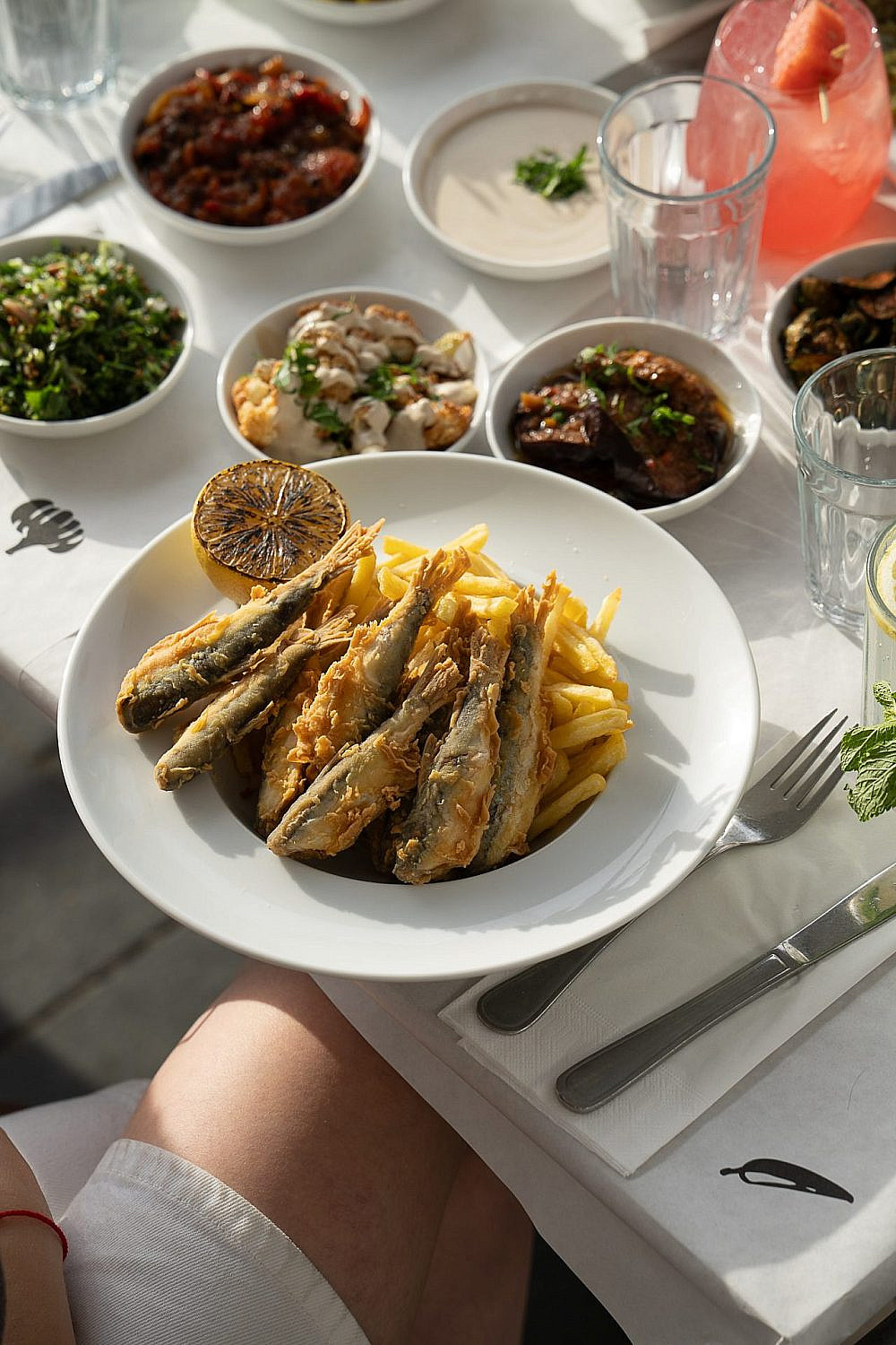 סרדינים מהכינרת, מלח מים (צילום אנטולי מיכאלו) סרדינים מהכינרת, מלח מים (צילום אנטולי מיכאלו)