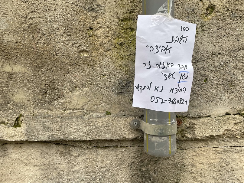 אילנה הופמן, הגלריה החדשה בטדי