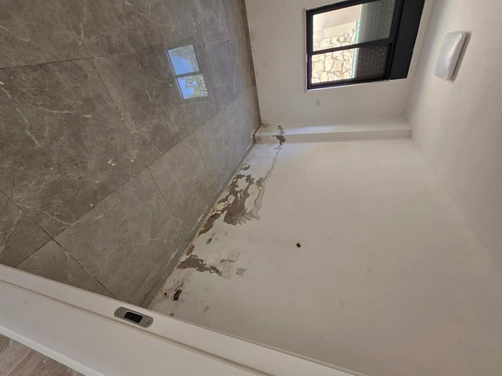 צילום: רפאל ריבוח שמאי רכוש