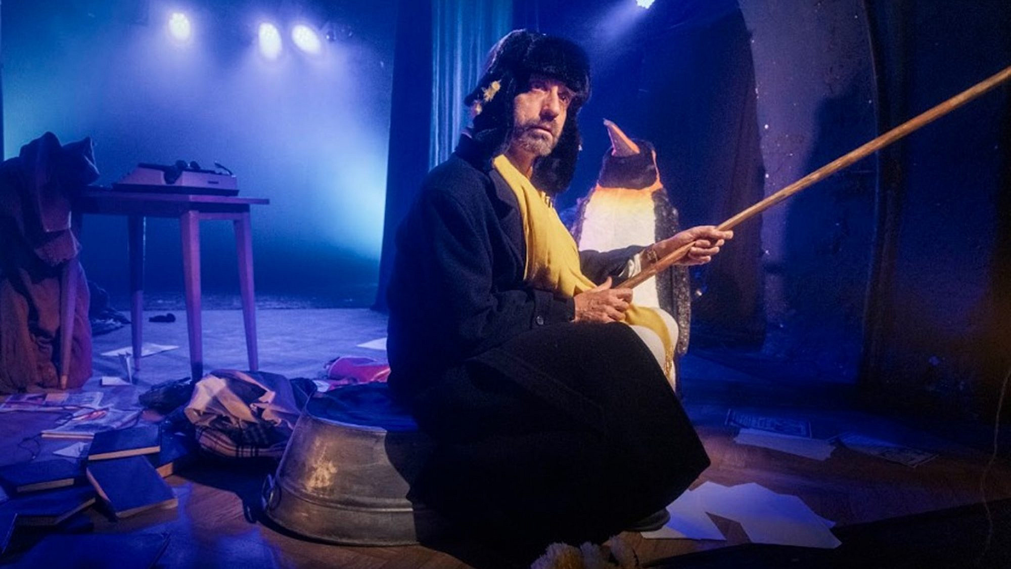 הלבד צועק. הפינגווין. (צילום: גראר אלון) הלבד צועק. הפינגווין. (צילום: גראר אלון)