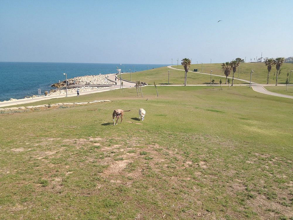 החוף הכי טוב שתהיו בו. גבעת עלייה (צילום: עמית סלונים) החוף הכי טוב שתהיו בו. גבעת עלייה (צילום: עמית סלונים)