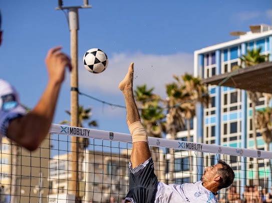 פוצ'יוולי בחופי תל אביב. (צילום: חיים וינגרטן) פוצ'יוולי בחופי תל אביב. (צילום: חיים וינגרטן)