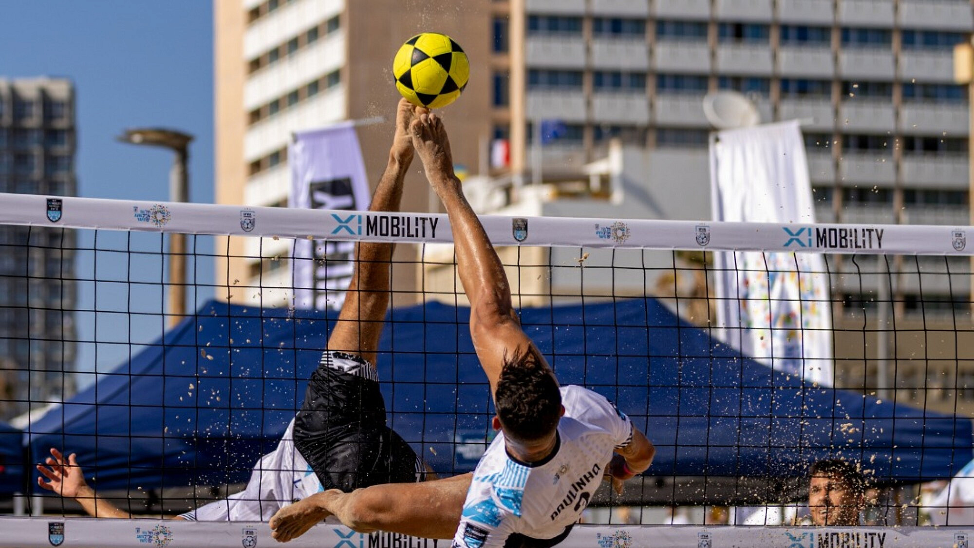 מתעופפים לעתיד. פוצ'יוולי בחופי תל אביב. (צילום: חיים וינגרטן) מתעופפים לעתיד. פוצ'יוולי בחופי תל אביב. (צילום: חיים וינגרטן)