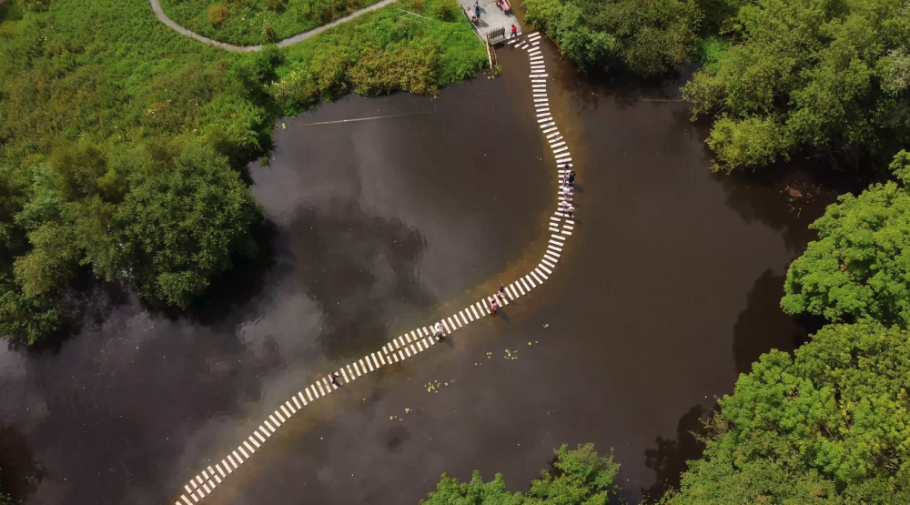 דה לונג אנד ווינדינג רואד. טאם טאם! (צילום: WWT Martin Mere Wetland Centre/טיים אאוט לונדון)