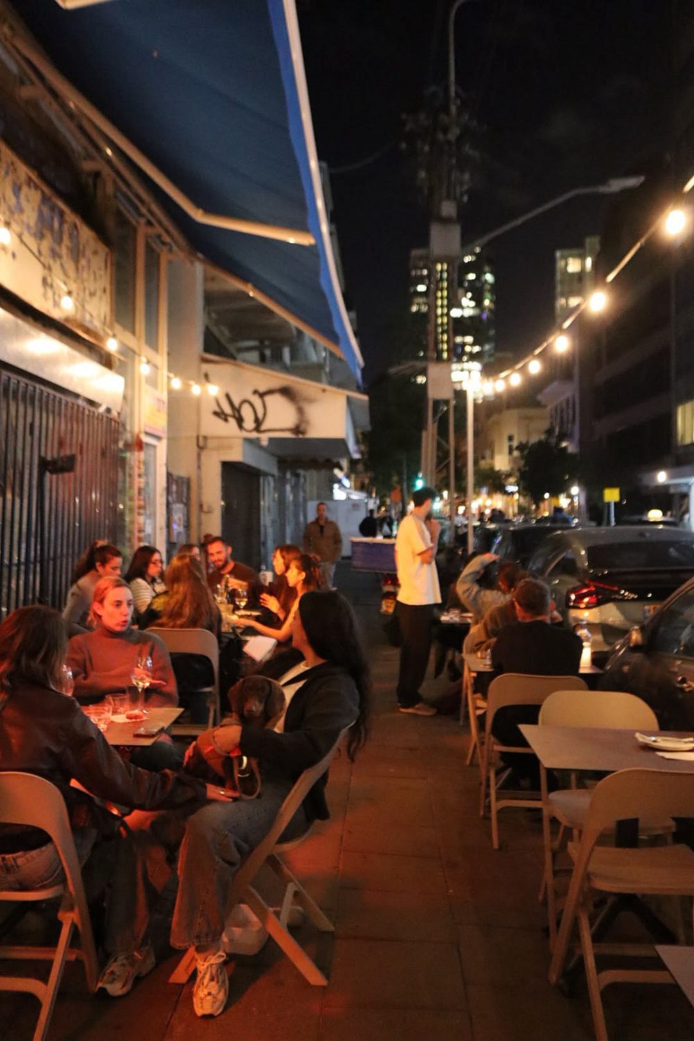בנג'מין 31 (צילום אלון ולנסי) בנג'מין 31 (צילום אלון ולנסי)