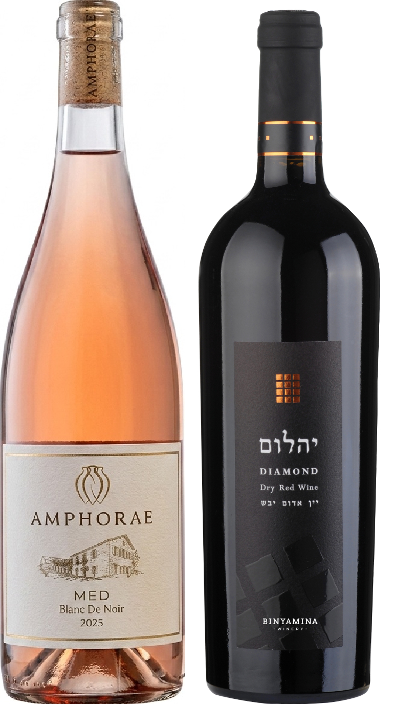 אבני החושן של בנימינה (ימין), סדרת Med של אמפורה (שמאל) אבני החושן של בנימינה (ימין), סדרת Med של אמפורה (שמאל)