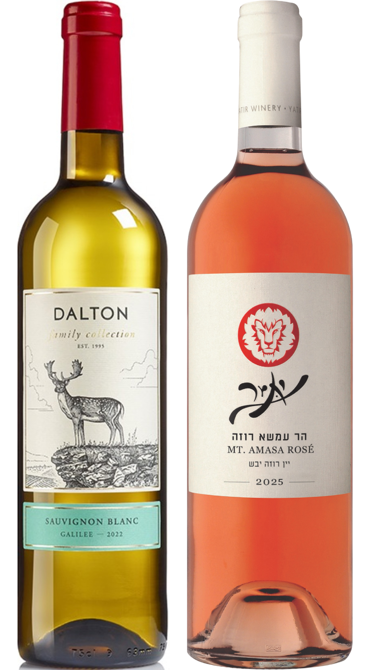 הר עמשא של יתיר (ימין), פמילי קולקשן של דלטון (שמאל) הר עמשא של יתיר (ימין), פמילי קולקשן של דלטון (שמאל)