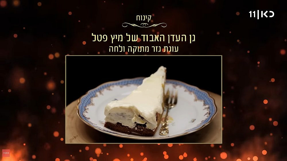 (צילום מסך/כאן 11) (צילום מסך/כאן 11)