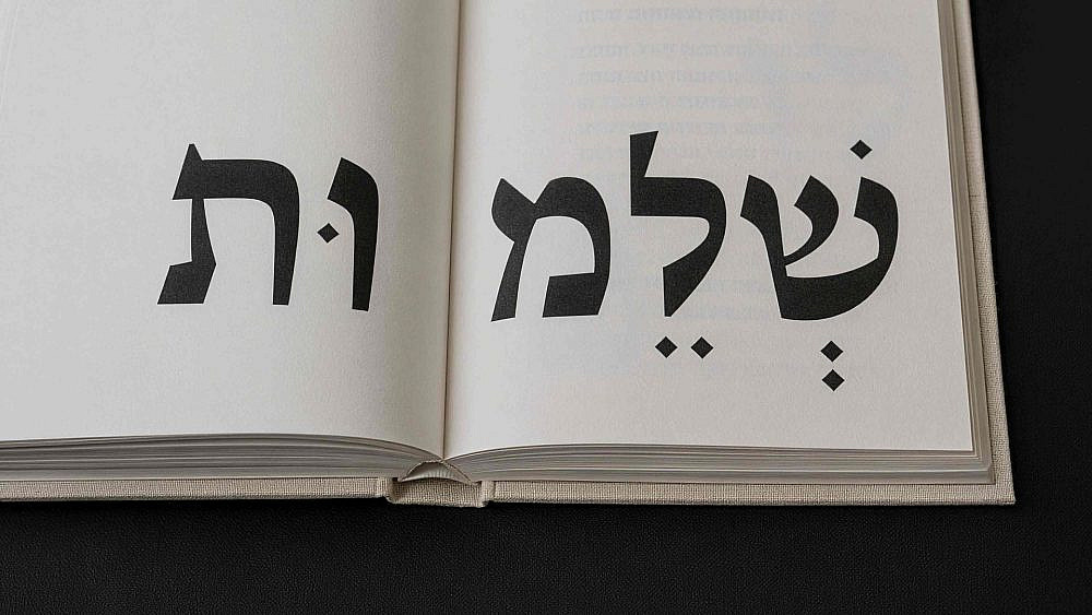 יהודה פלדמר שלום, מוזיאון אנו