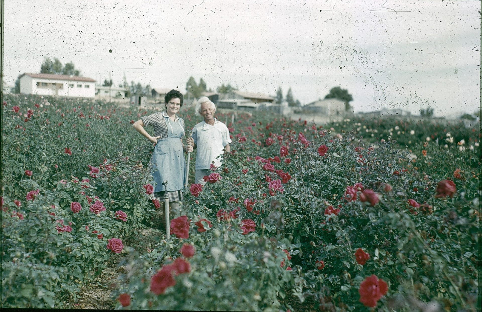 הזורעים בדמעה בבית האופרה (צילום: ארכיון אוצרות בארי)