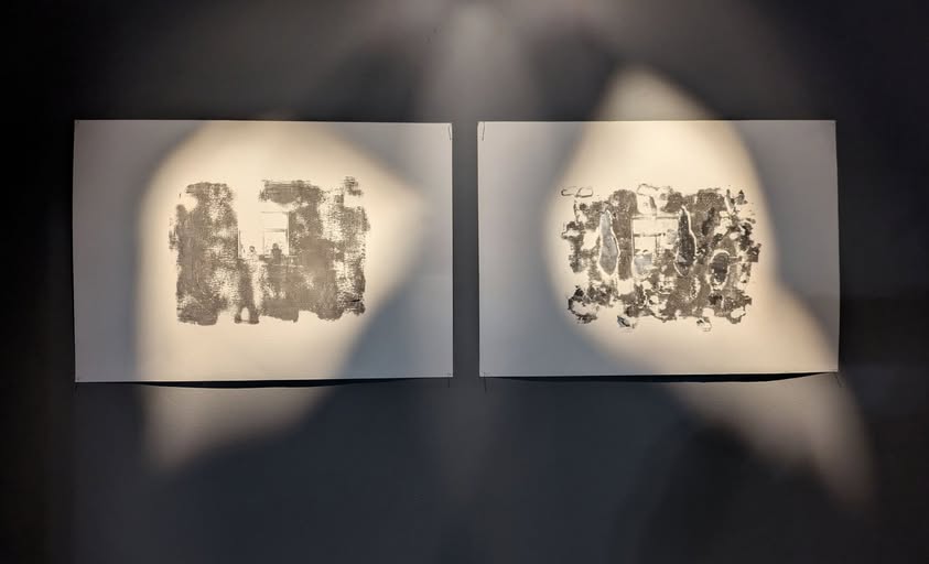 זויה לוזינסקי ואיליה גלפרין, Wild Gallery