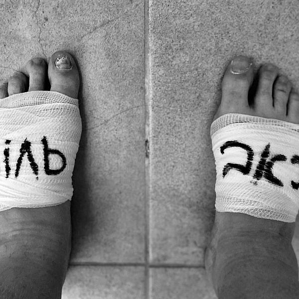 ורה גייליס, המקרר